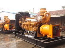 杨陵发电机组的频率规格是如何确定的？